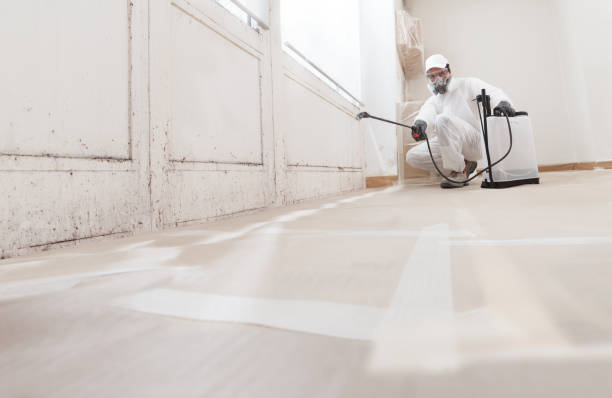 24/7 Emergency Commercial Mold Remediation experts in Denton, NC
