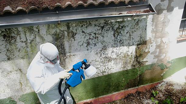 Top rated local Commercial Mold Remediation specialists in Denton, NC